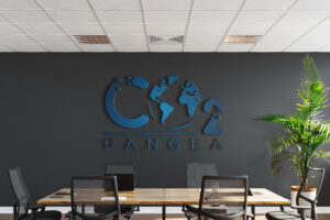 Aplicació del logotip PANGEA a una paret